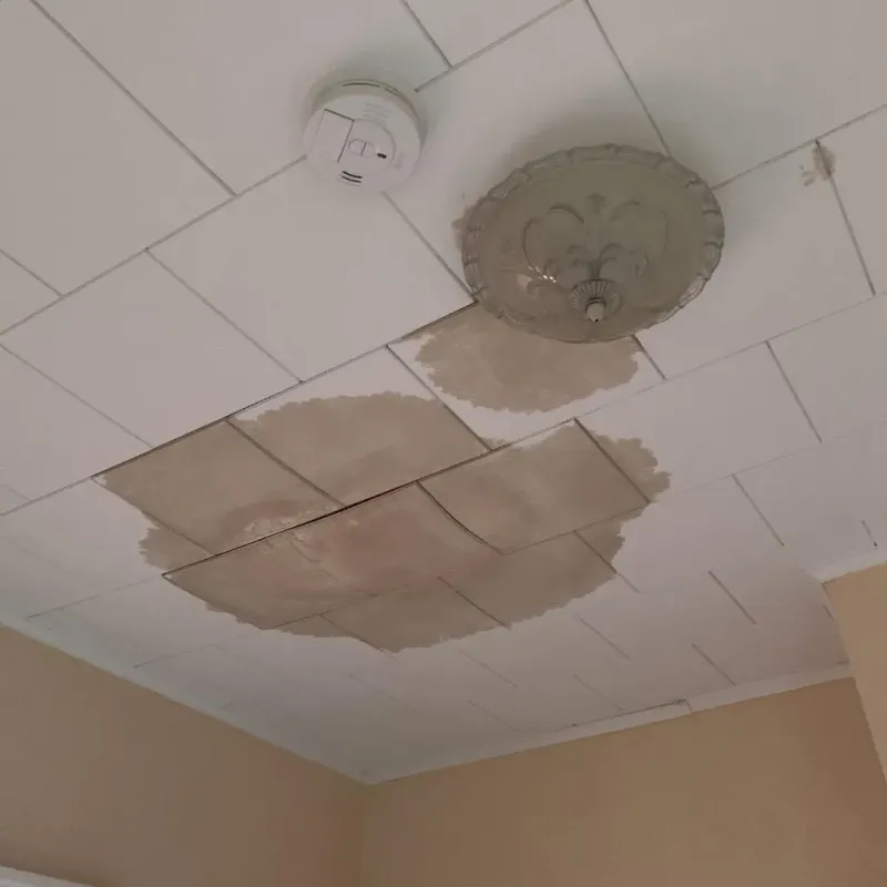 Ceiling Water Damage Repair in Jeffersonville, IN