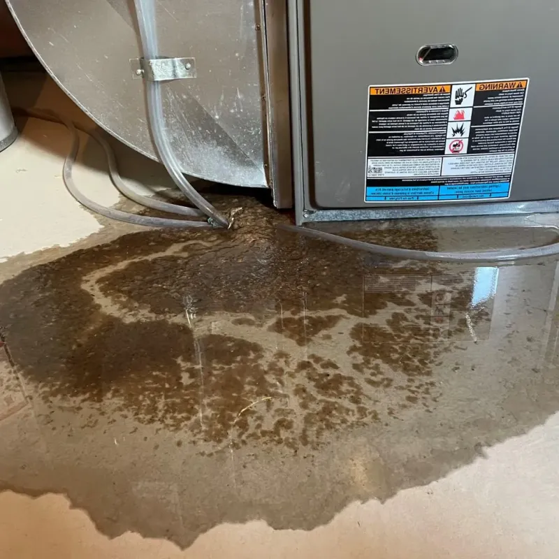 Pipe Burst and Leak Restoration in Jeffersonville, IN